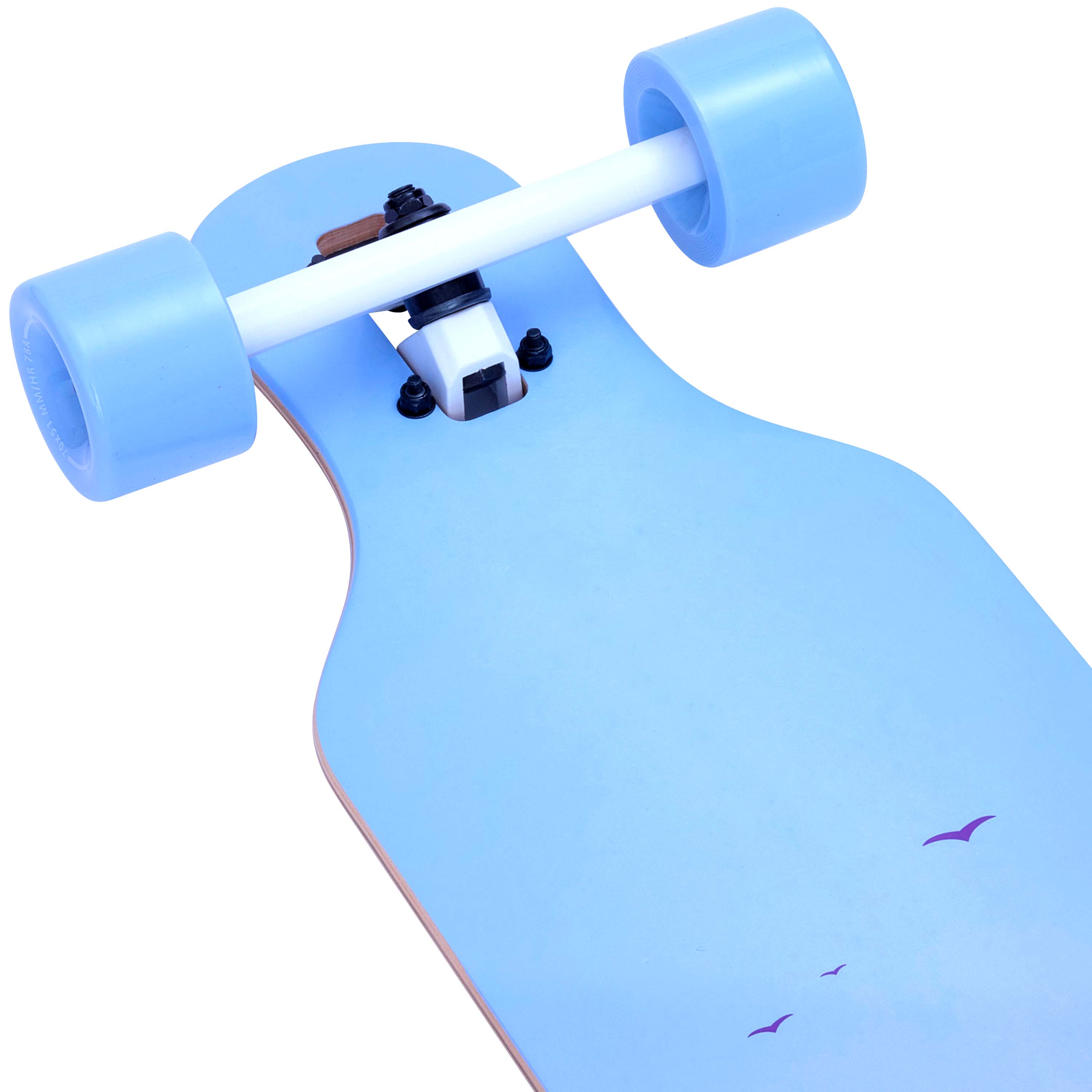 Apollo Funsport NL Longboard 36" incl. T-tool - Galoa Galoa
