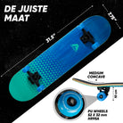 Apollo Skateboard Compleetboard 31 inch - Fresh Fresh