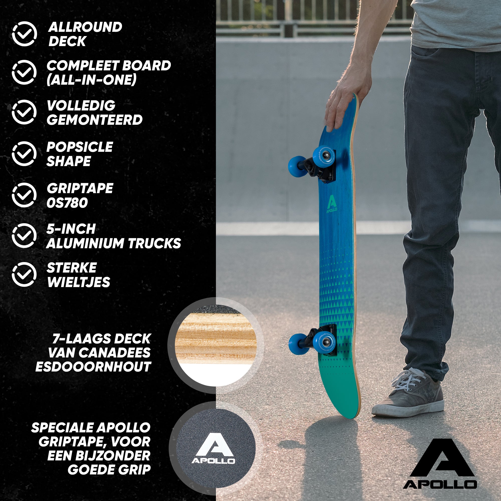 Apollo Skateboard Compleetboard 31 inch - Fresh Fresh
