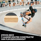 Apollo Skateboard Compleetboard 31 inch - Mosaik Mosaik