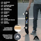 Apollo Skateboard Compleetboard 31 inch - Cat Cat