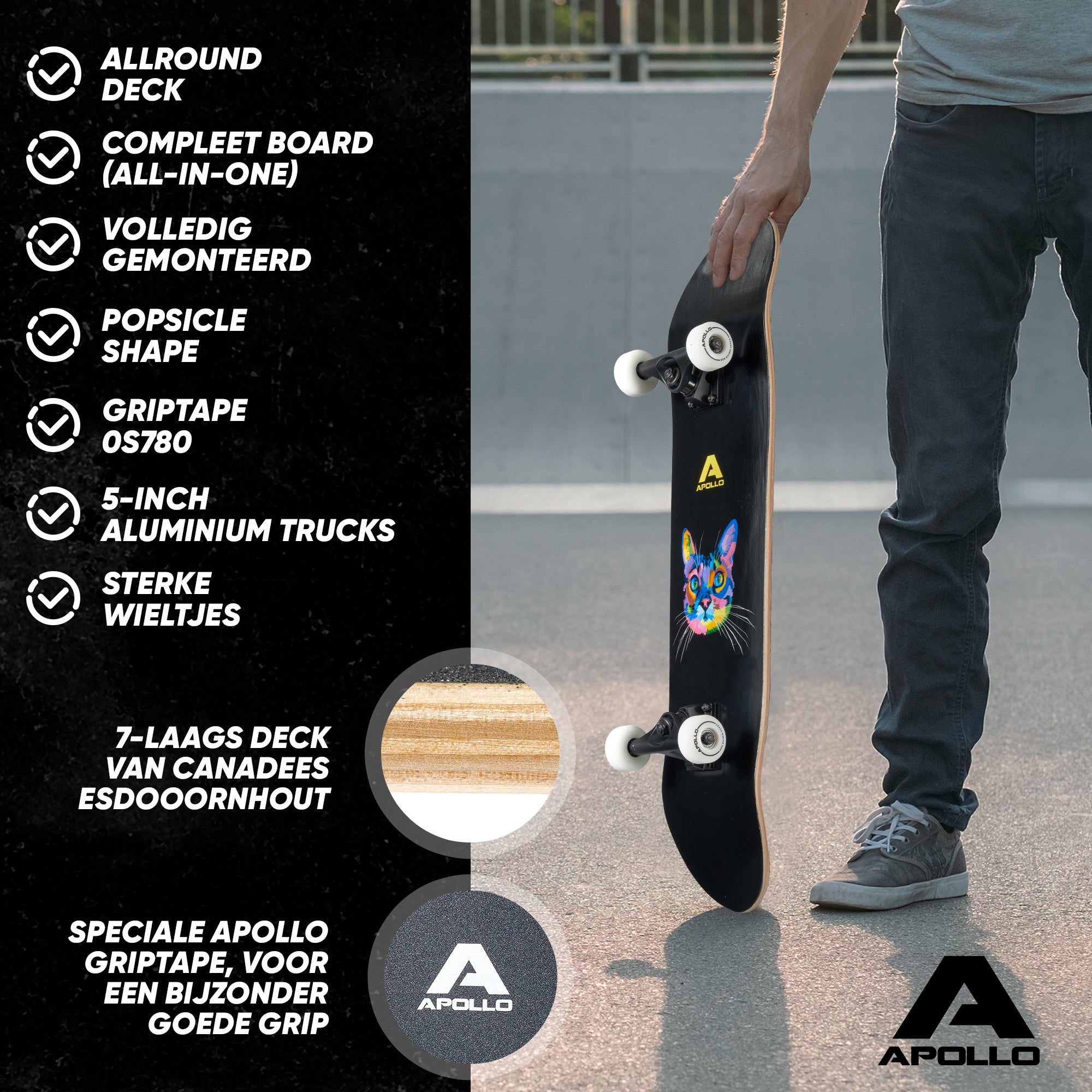 Apollo Skateboard Compleetboard 31 inch - Cat Cat