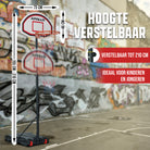 Apollo Basketbalring met standaard en wielen Classic