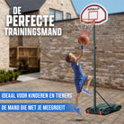 Apollo Basketbalring met standaard en wielen Classic