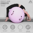 Apollo Air Roll Pro - Air Track Roll Pink 120x75
