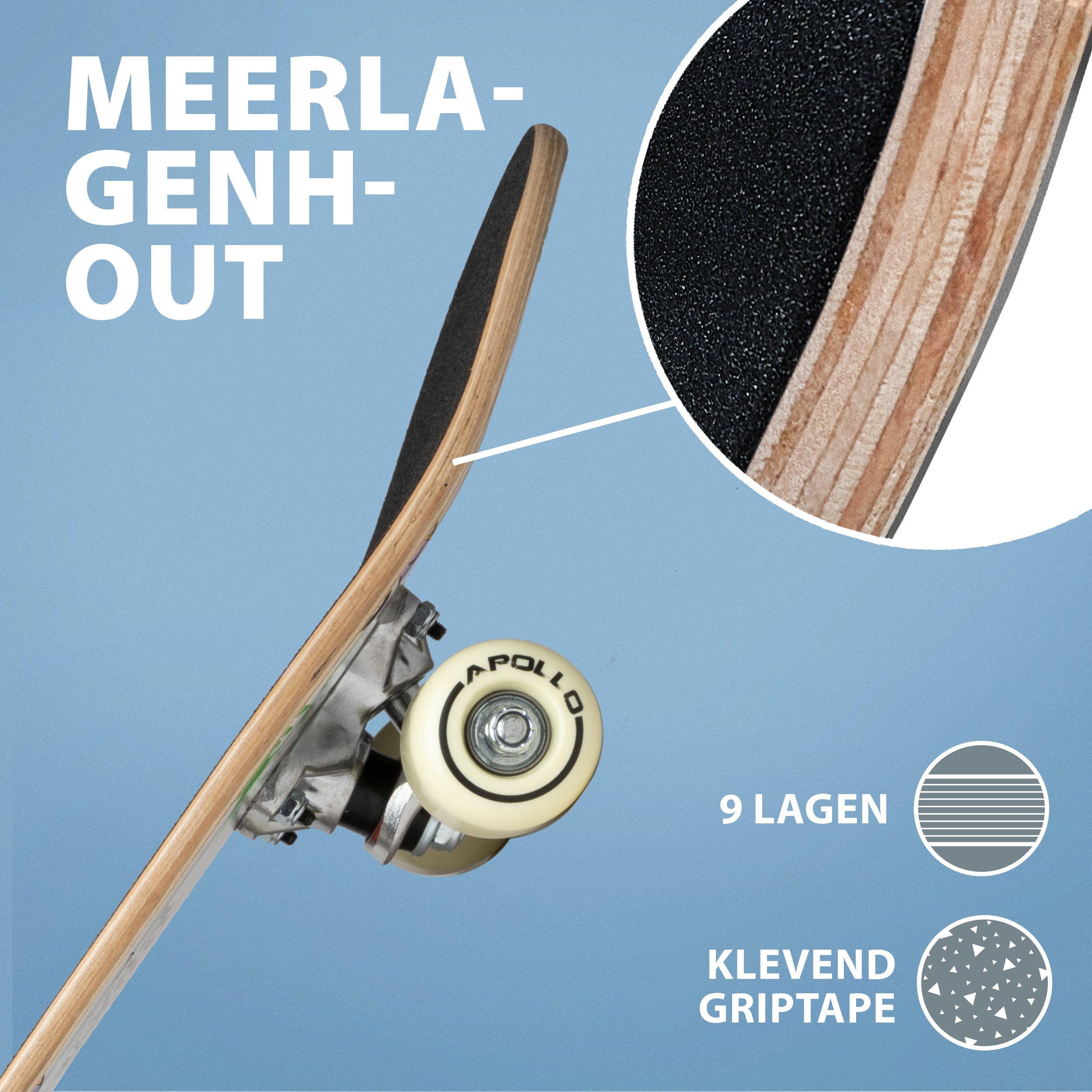 Apollo Kinderen Skateboard 61cm - T-Rex